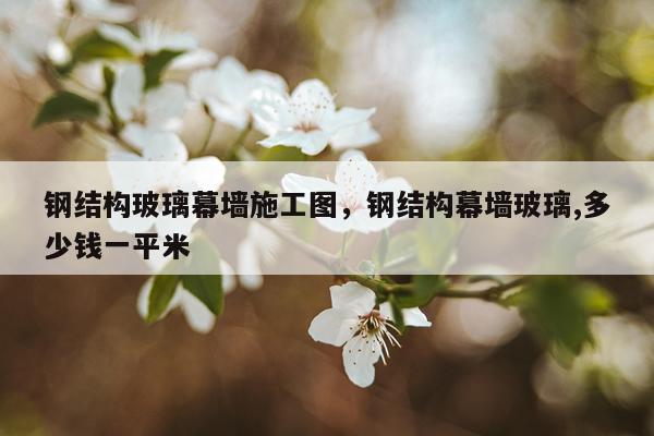 钢结构玻璃幕墙施工图，钢结构幕墙玻璃,多少钱一平米